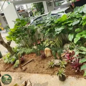 Foto hasil kerja Perapihan dan Pembuatan Taman Kering