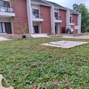 Foto hasil kerja Proyek Penanaman Rumput Taman di Perumahan Bogor