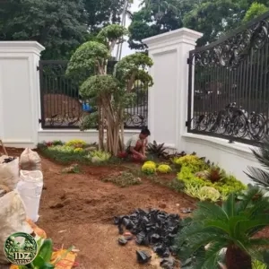 Foto hasil kerja Proses Pembuatan Taman di Jakarta