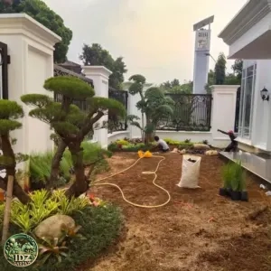 Foto hasil kerja Proses Pembuatan Taman di Jakarta