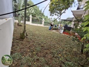 Foto hasil kerja Penanaman Rumput Gajah Biasa di Sentul
