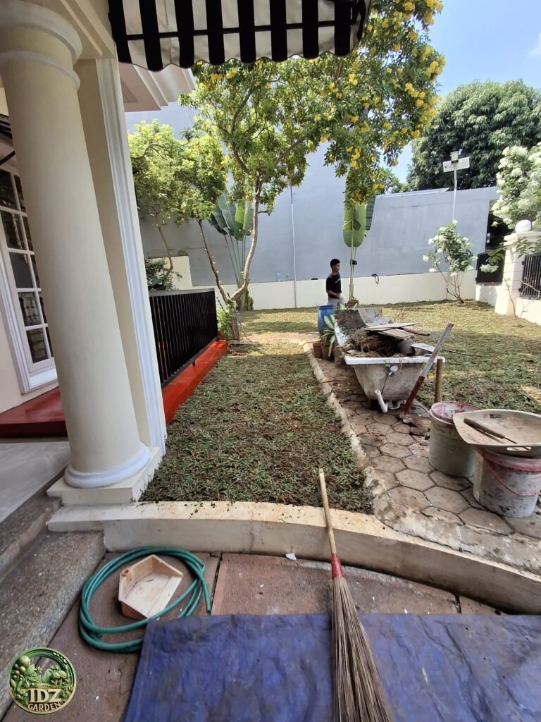 Penanaman Rumput Gajah Biasa di Sentul
