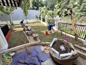 Foto hasil kerja Penanaman Rumput Gajah Biasa di Sentul