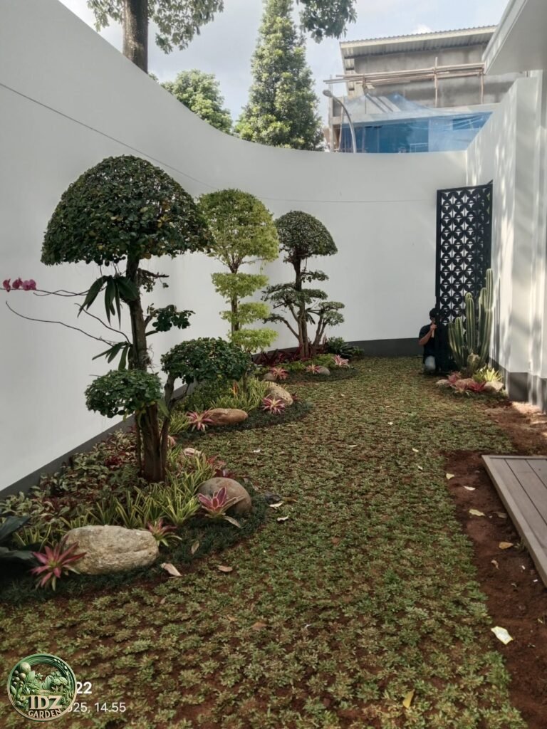 Rumput Gajah Mini untuk Berbagai Konsep Taman Rumah