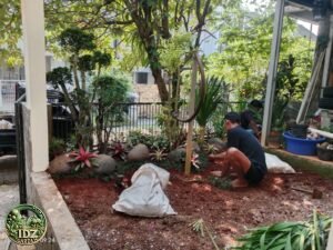 Foto hasil kerja Pembuatan taman di Bogor Kota