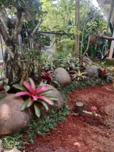 Pembuatan taman di Bogor Kota