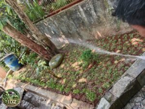 Foto hasil kerja Pembuatan taman di Bogor Kota