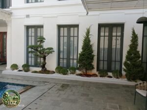 Foto hasil kerja Pembuatan Taman Rumah dinas Dirut