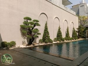 Foto hasil kerja Pembuatan Taman Rumah dinas Dirut