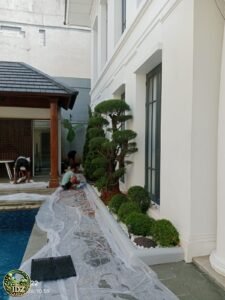 Foto hasil kerja Pembuatan Taman Rumah dinas Dirut