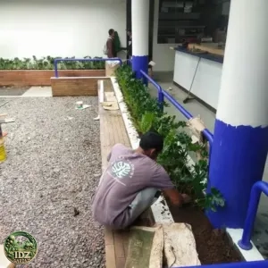 Pemasangan Tanaman di Resto Kitsumi Japanese Grill — Tukang Taman
