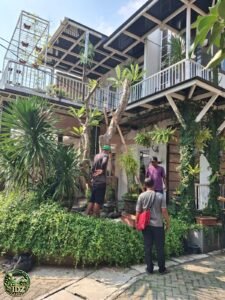 Foto hasil kerja Penanaman Pohon Kamboja Fosil