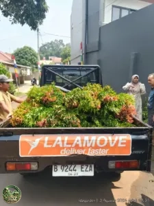 Foto ulasan Mutia
