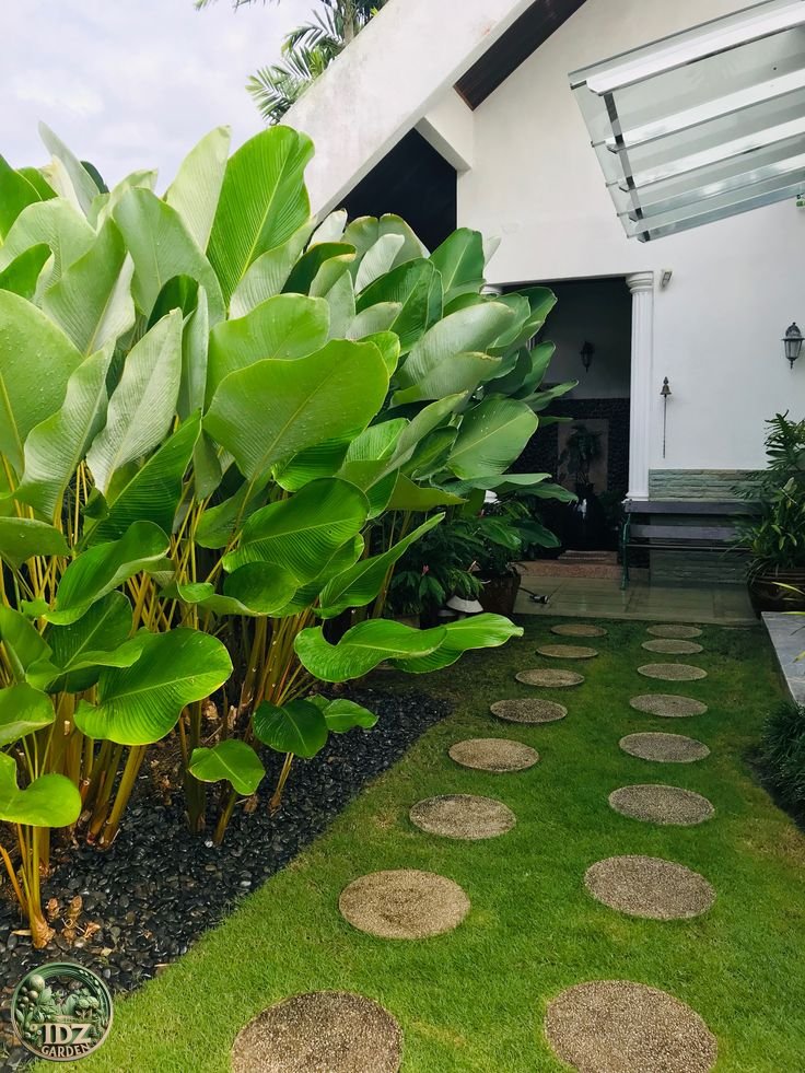 c8f52b5211de00b7360c71ead1f9e273 dari IDZ Garden