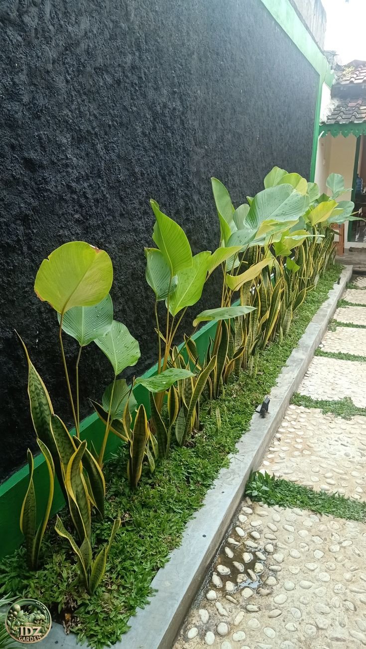Tukang Taman Bekasi