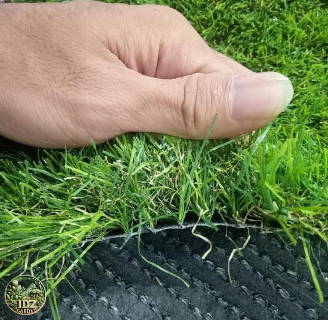 Jual Rumput Taman di Bogor Harga Murah