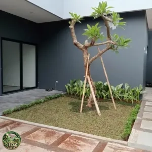 Penanaman Pohon Kamboja Fosil di Tangerang