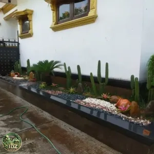 Foto hasil kerja Pembuatan Taman Kering di — jasa taman